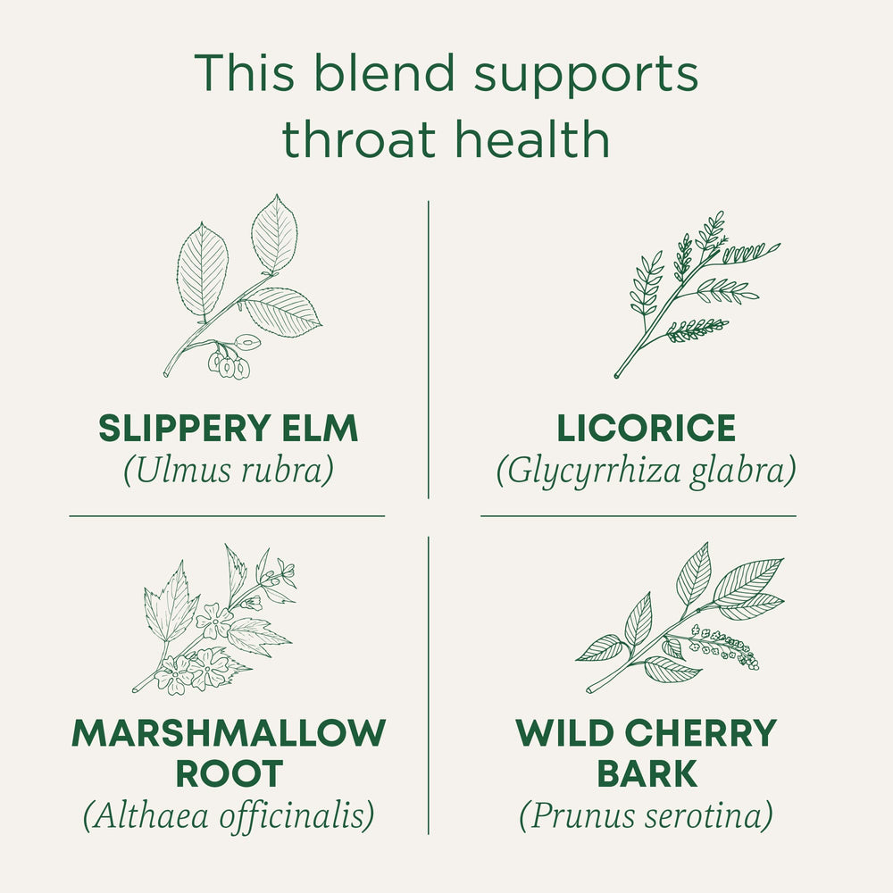 Traditional Medicinals Throat Coat tea steeping cup with warm licorice notes