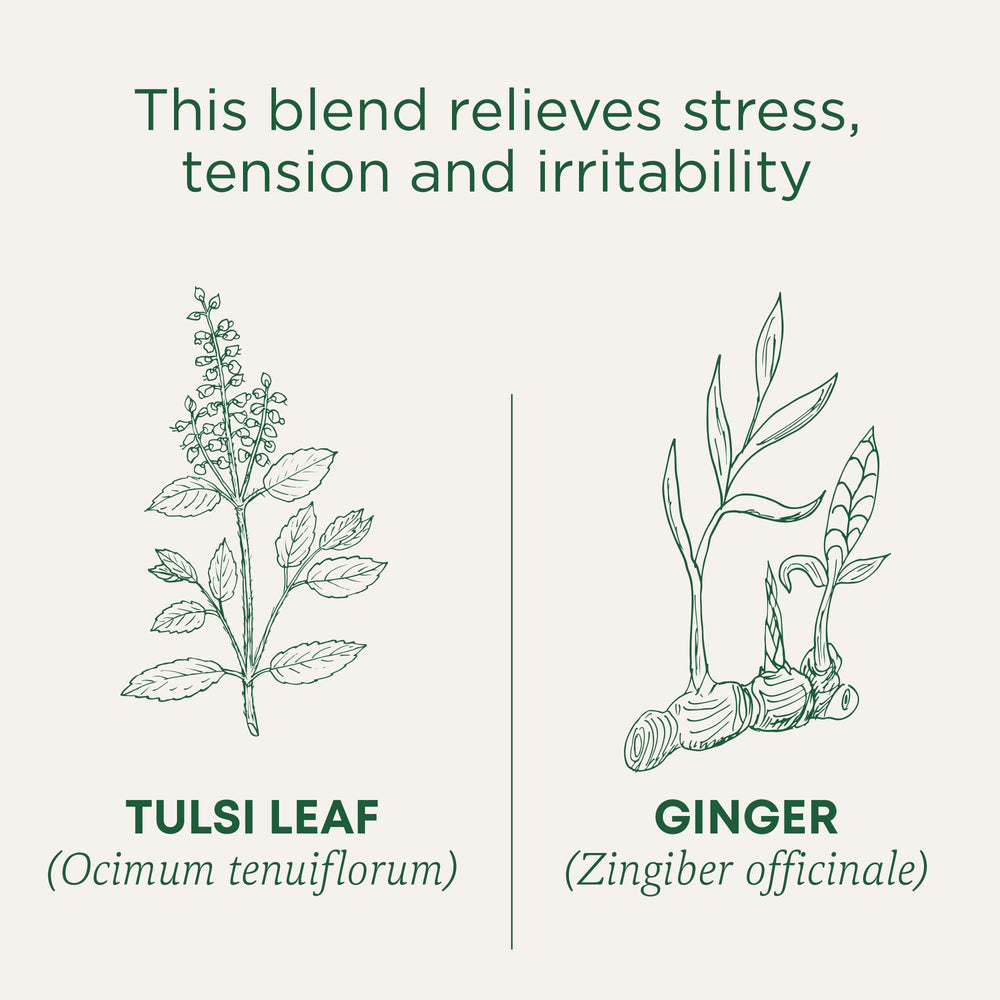 Traditional Medicinals tulsi ginger tea leaves and ginger roots symbolize balance.