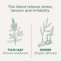 Traditional Medicinals tulsi ginger tea leaves and ginger roots symbolize balance.