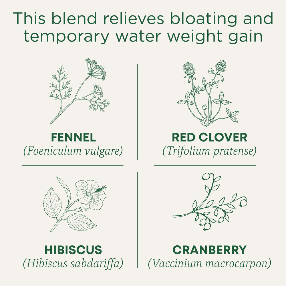 Traditional Medicinals Weightless Cranberry Tea brew close-up with cranberry and fennel aromas