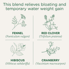 Traditional Medicinals Weightless Cranberry Tea brew close-up with cranberry and fennel aromas