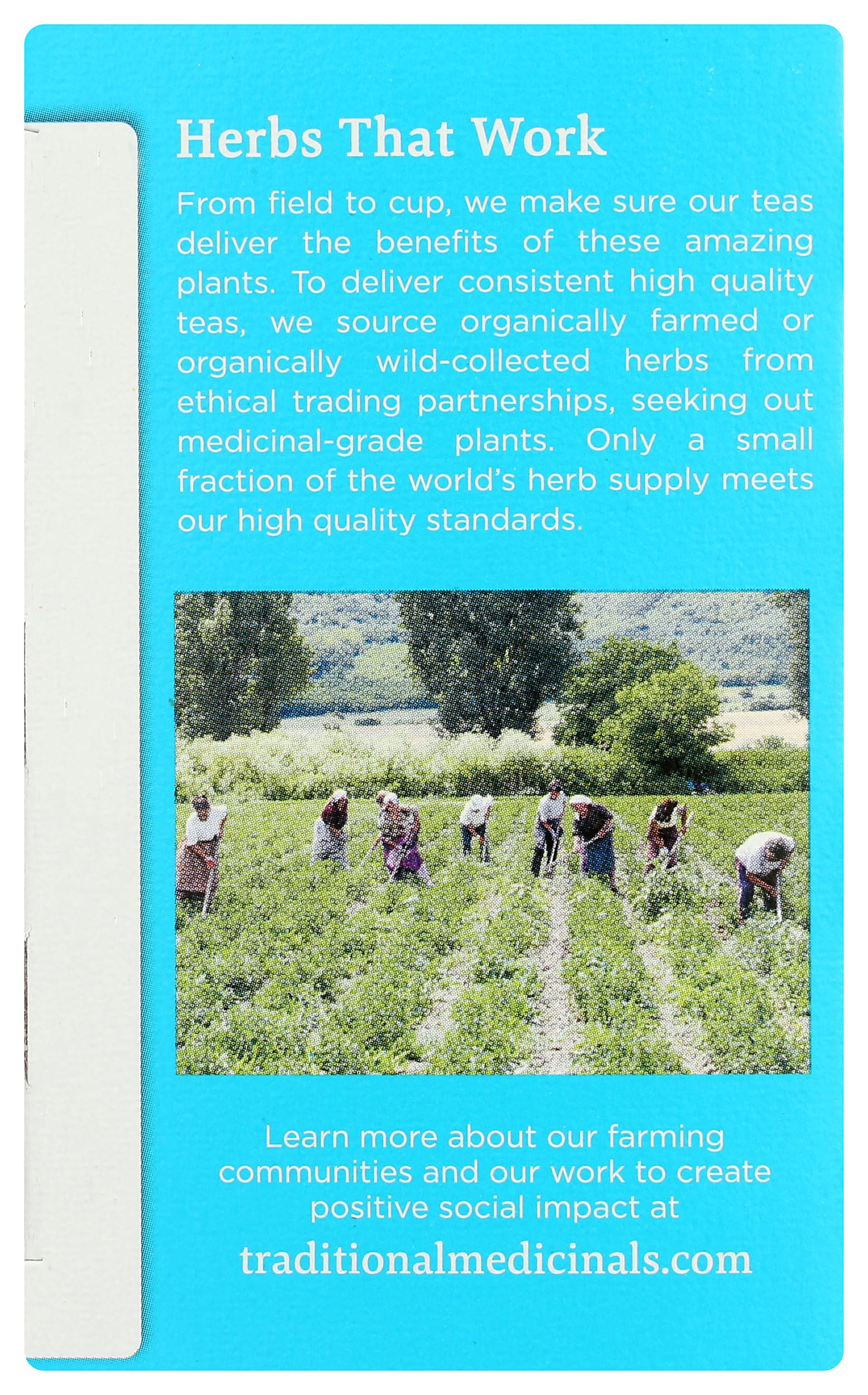 Traditional Medicinals Weightless Cranberry packaging on shelf, organic caffeine-free