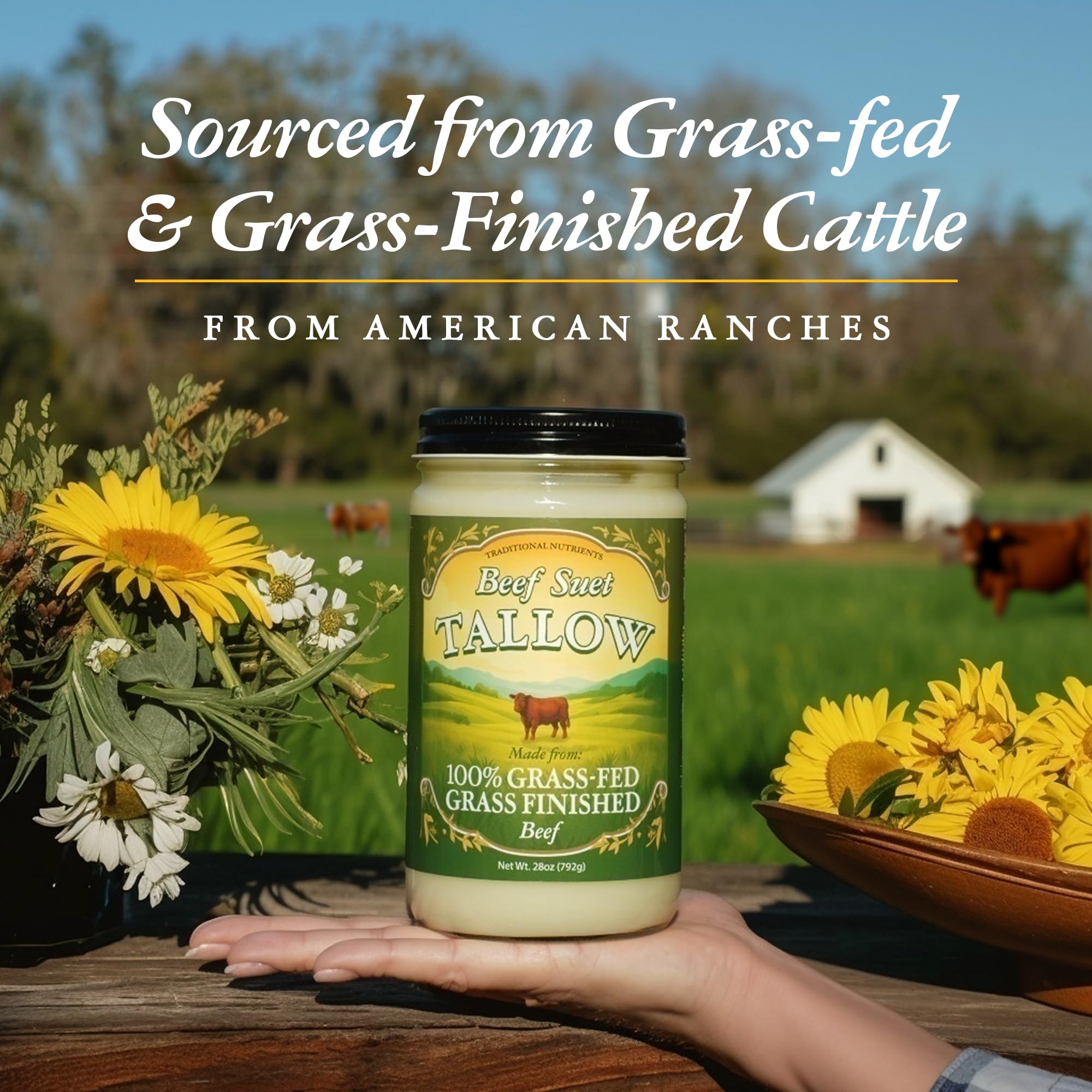 Traditional Nutrients grass-fed beef tallow in a kitchen setup for cooking