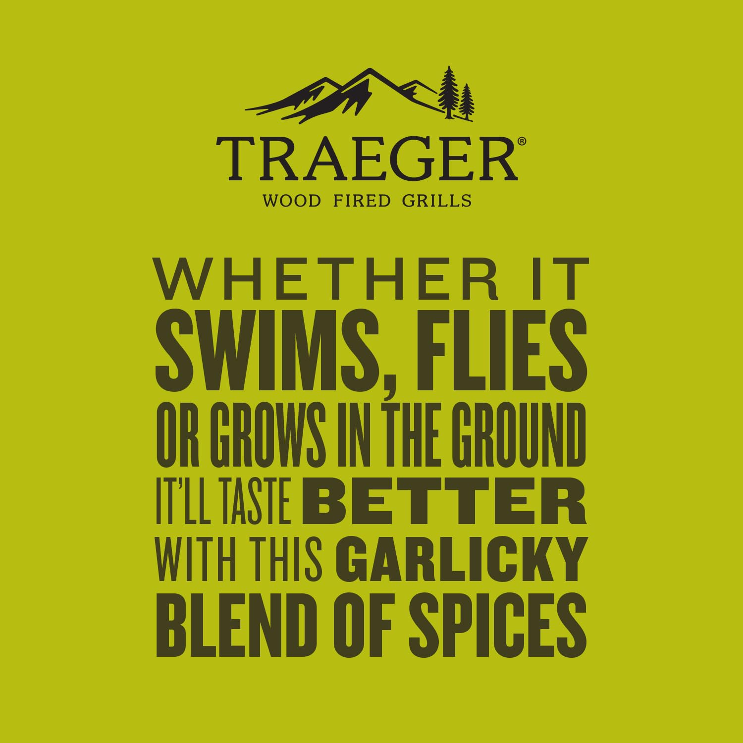 Traeger Fin and Feather Rub shaker top view, versatile seasoning for grills.