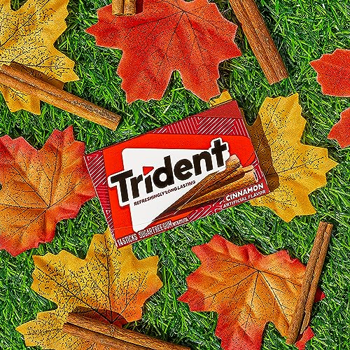 Breath freshness moment after meals with Trident Cinnamon Gum.