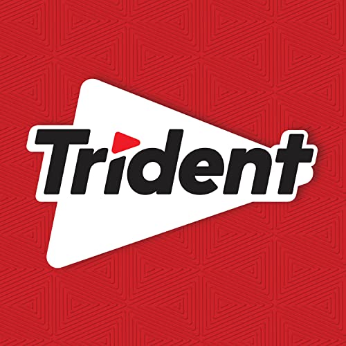 Trident Cinnamon Sugar Free Gum in purse strategically placed for quick minty lift