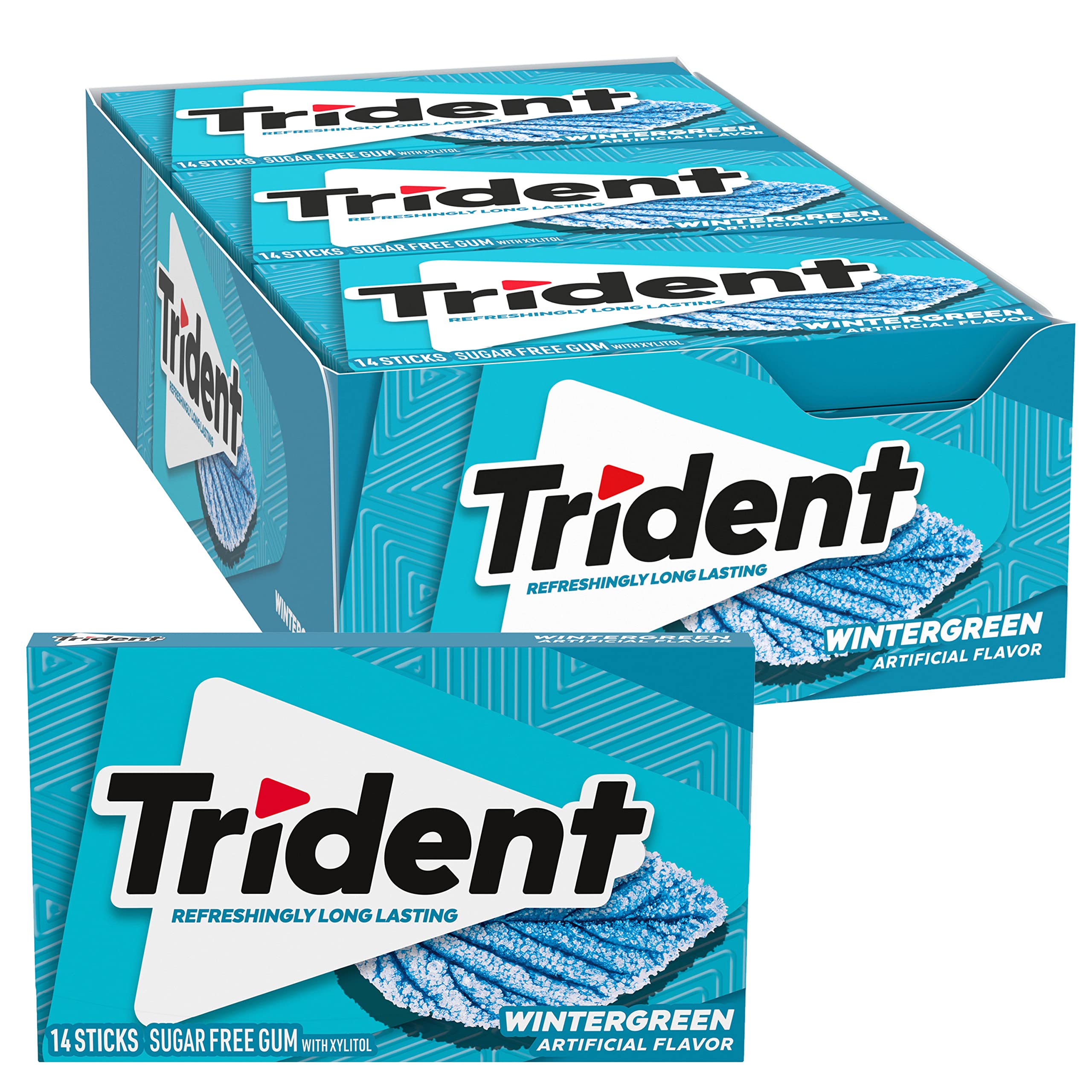 Trident Wintergreen Sugar Free Gum pack for on-the-go freshness.