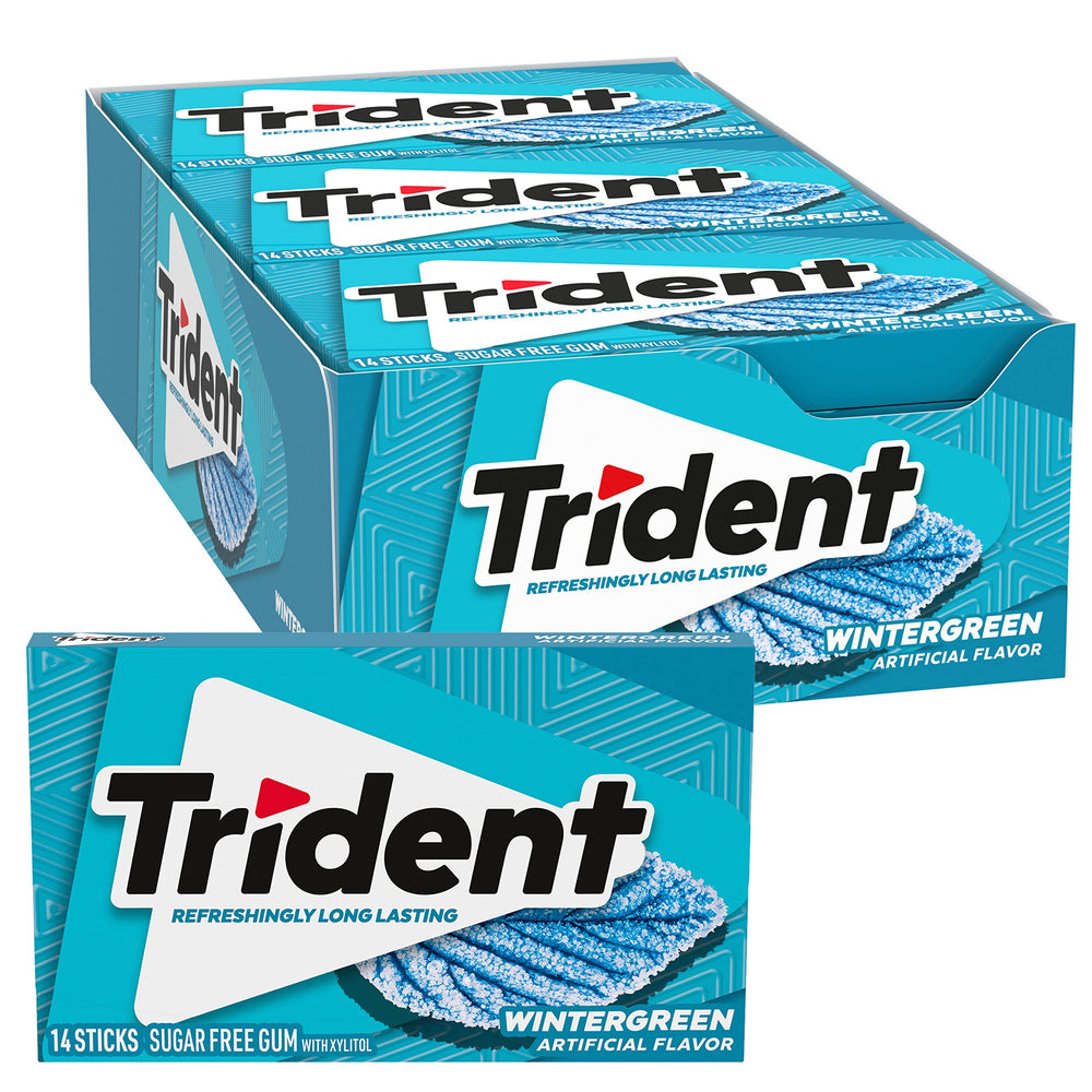 Trident Wintergreen Sugar Free Gum pack for on-the-go freshness.
