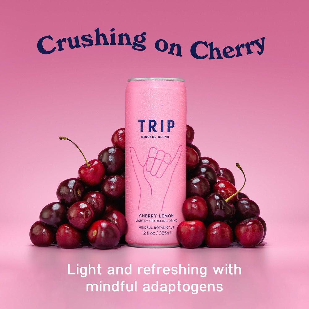 TRIP Lightly Sparkling ingredients close-up features ashwagandha and lion's mane botanicals