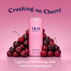 TRIP Lightly Sparkling ingredients close-up features ashwagandha and lion's mane botanicals