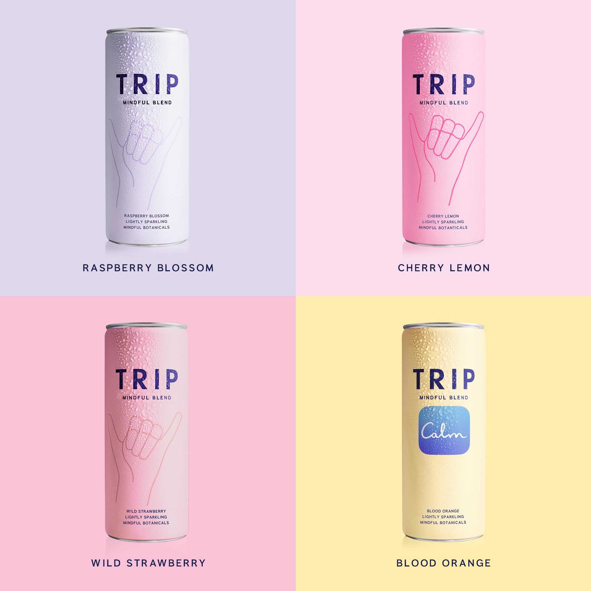 TRIP Lightly Sparkling ingredients label spotlights Lion's Mane and Ashwaganda.