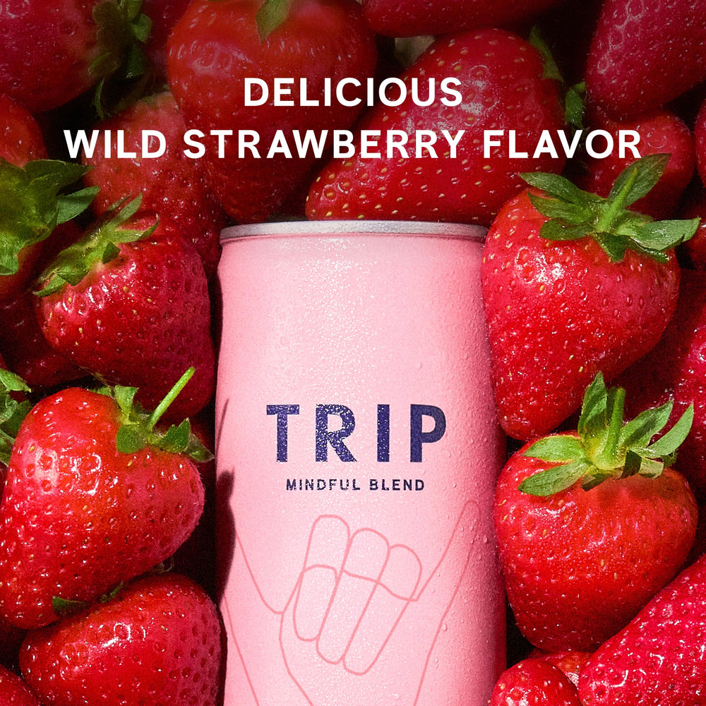 TRIP Lightly Sparkling ingredients overview featuring Lion's Mane and Ashwagandha.