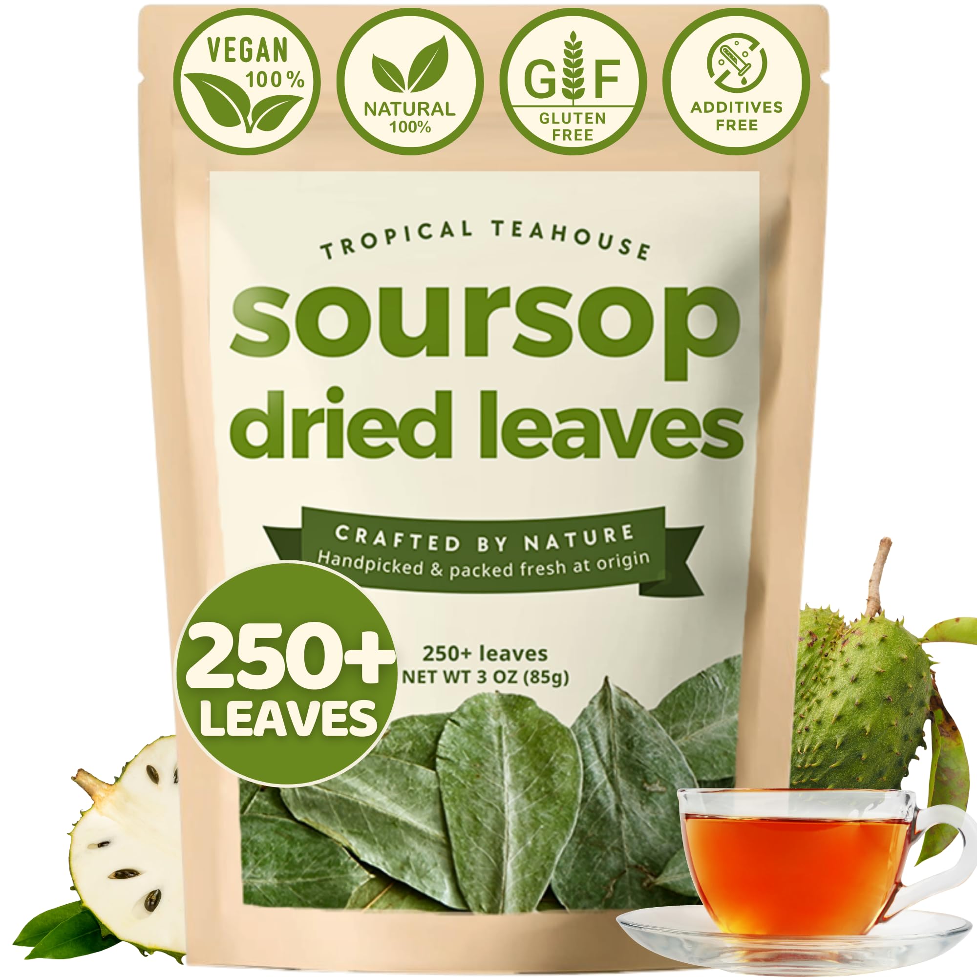 Tropical Teahouse Graviola leaves close-up for premium soursop tea preparation