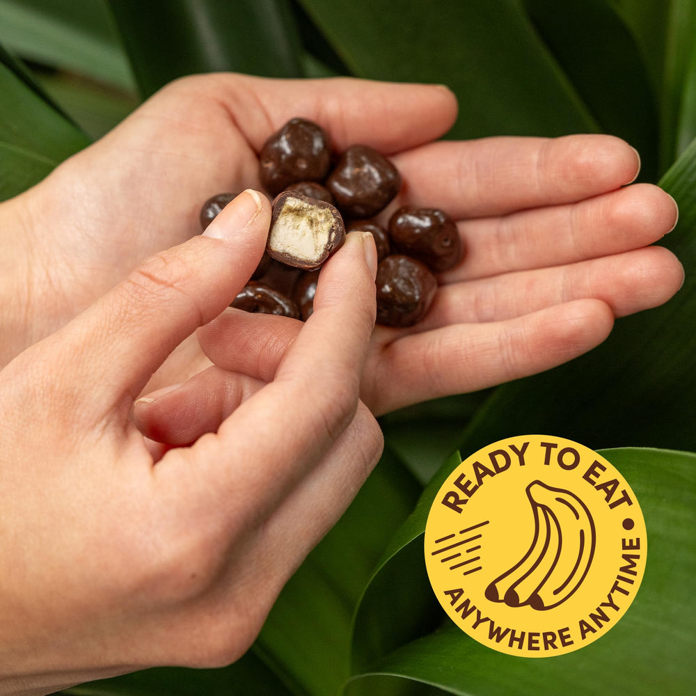 Tru Fru on-the-go banana snack in chocolate, perfect for travel