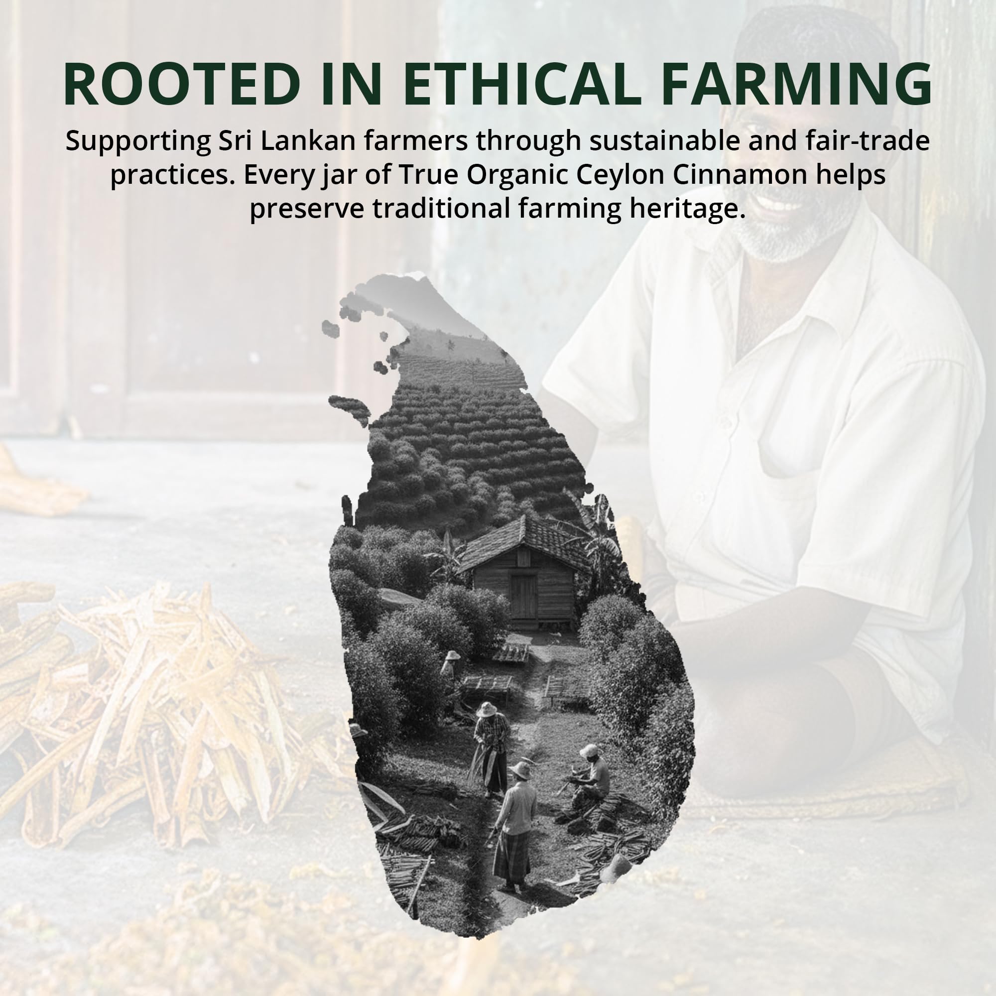 True Organic Ceylon cinnamon powder sprinkled into a beverage, elevating warm drinks.