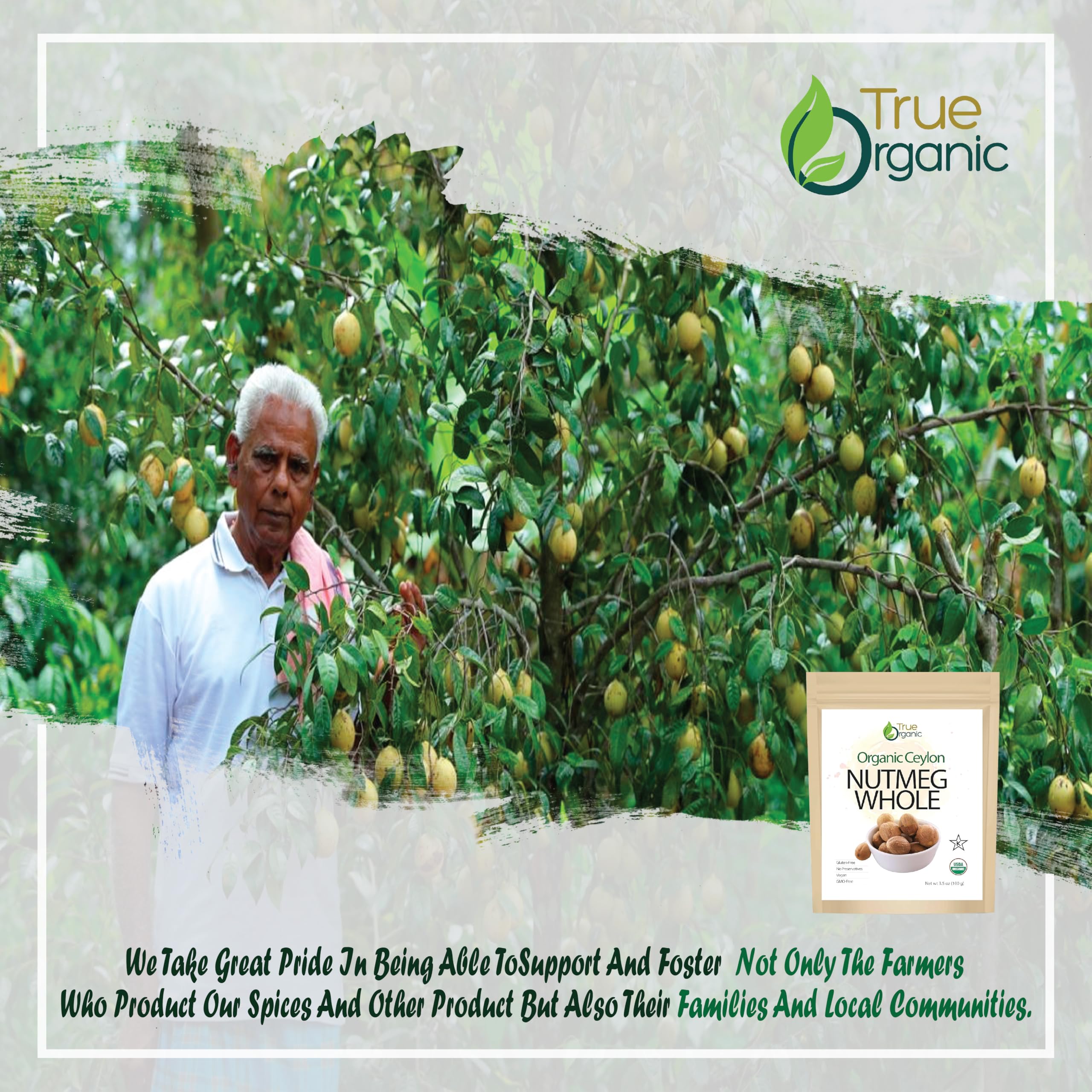True Organic Ceylon Nutmeg Whole for premium spice blends and festive baking.