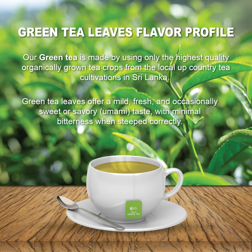 Cafe setup featuring True Organic Green Tea, ideal for hospitality use.