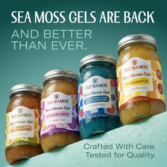 TrueSeaMoss gel pour shot highlights smooth texture ideal for smoothies and teas.