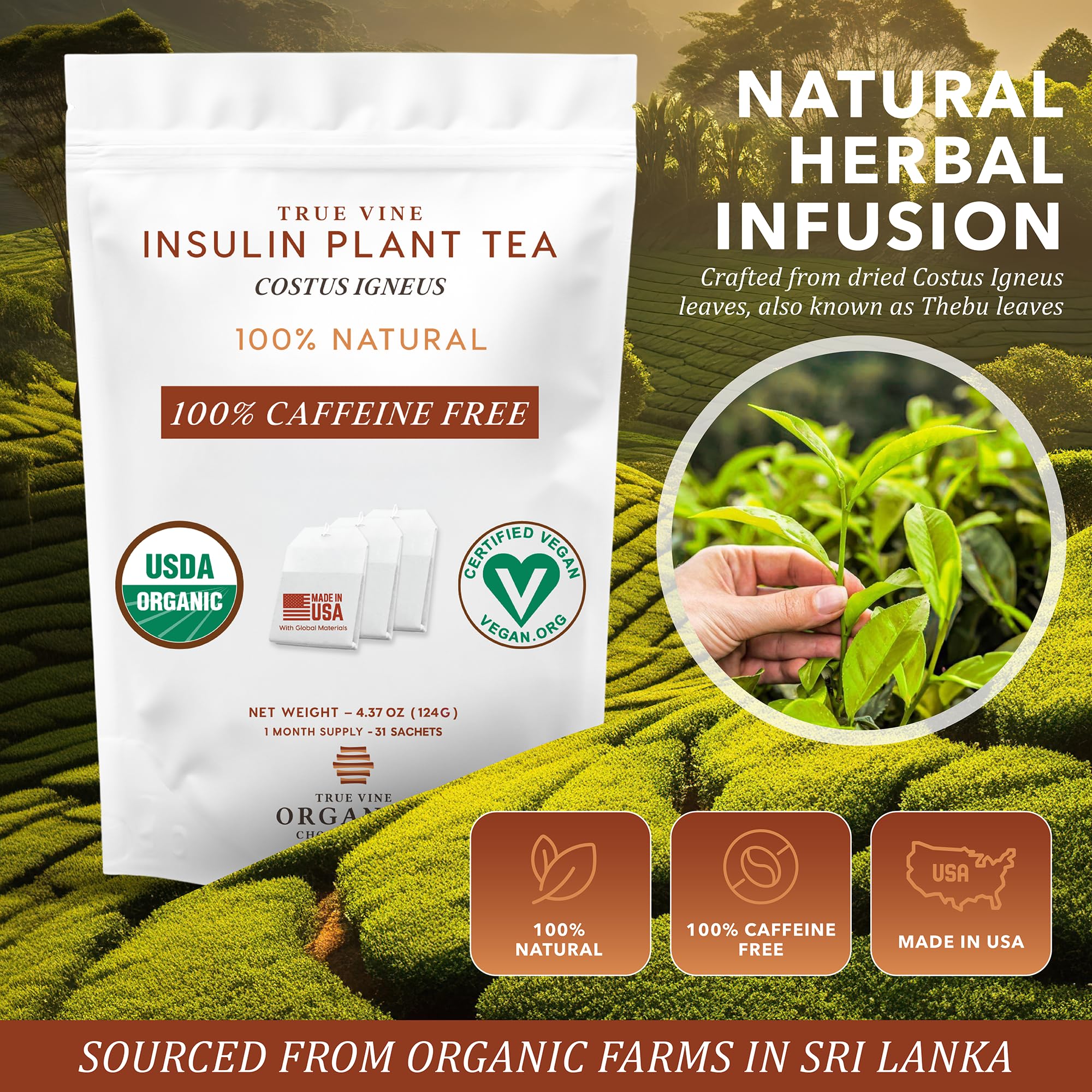 True Vine Insulin Plant Tea ingredient list showing clean organic profile