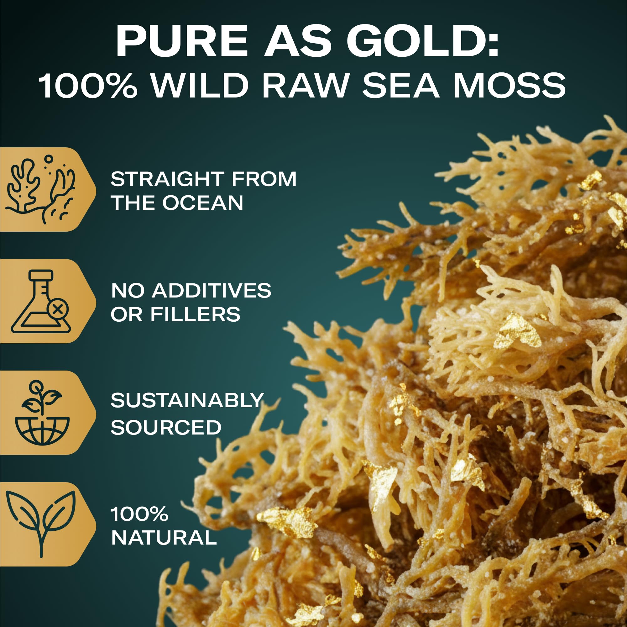 TrueSeaMoss mineral-rich sea moss emphasizing natural minerals for recipes
