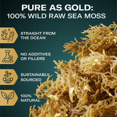 TrueSeaMoss mineral-rich sea moss emphasizing natural minerals for recipes