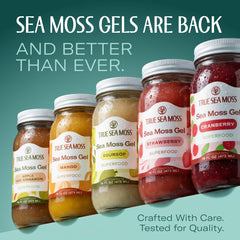 TrueSeaMoss gel jar with spoon ready to add natural nutrients to drinks