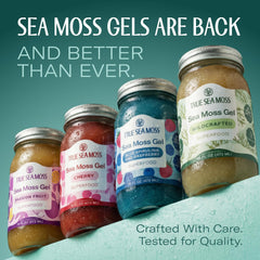 TrueSeaMoss gel texture close-up, smooth and spoonable.