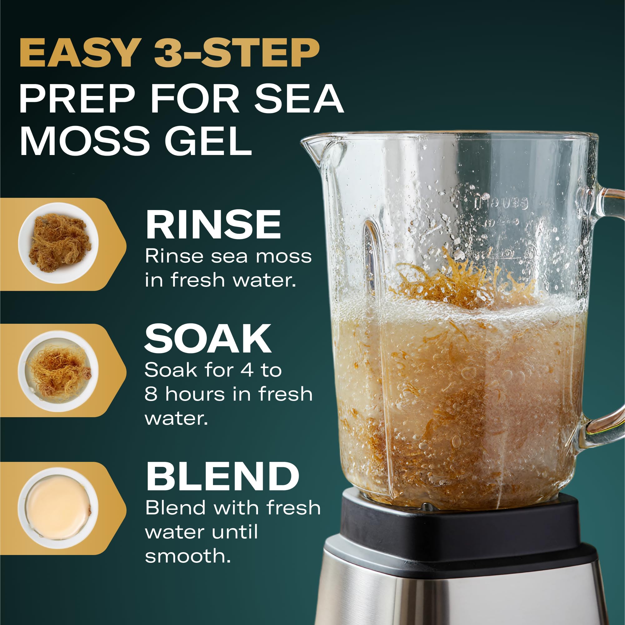 TrueSeaMoss soaked and blended sea moss ready for gel