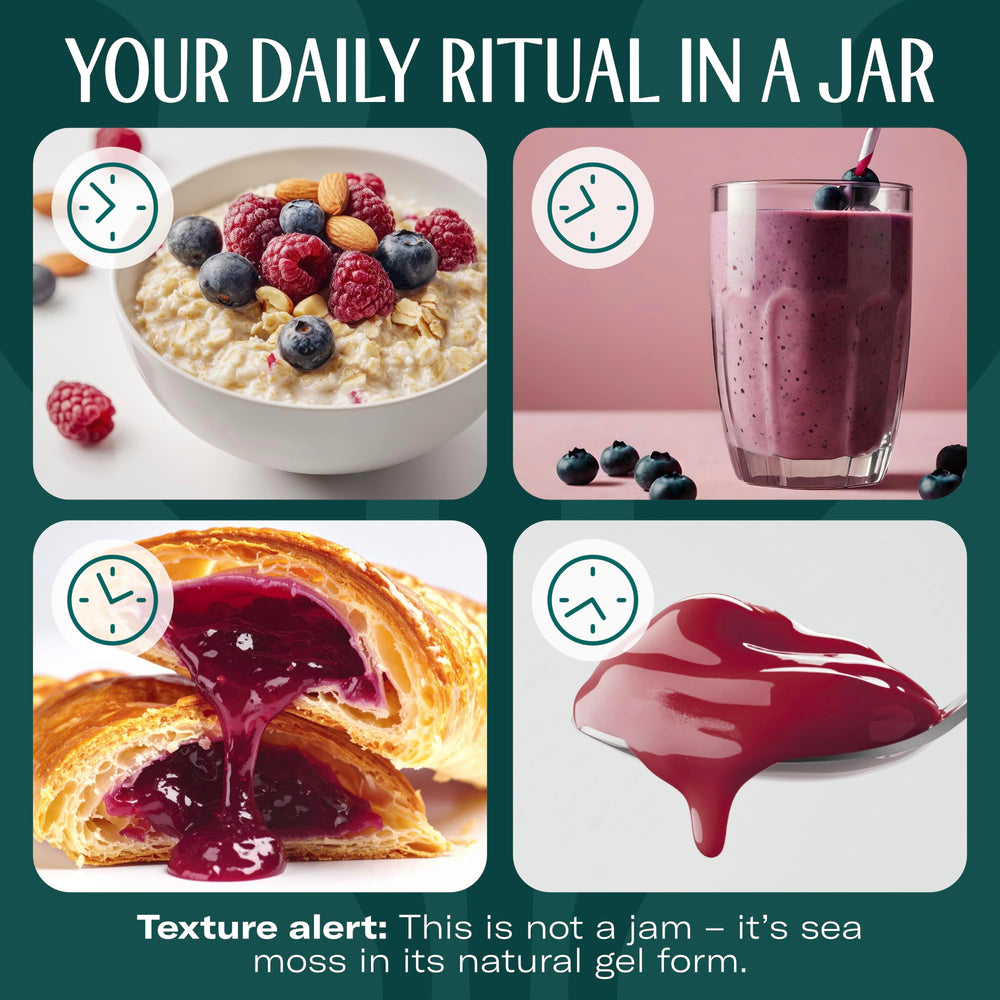 TrueSeaMoss unopened jar on shelf shows freshness.