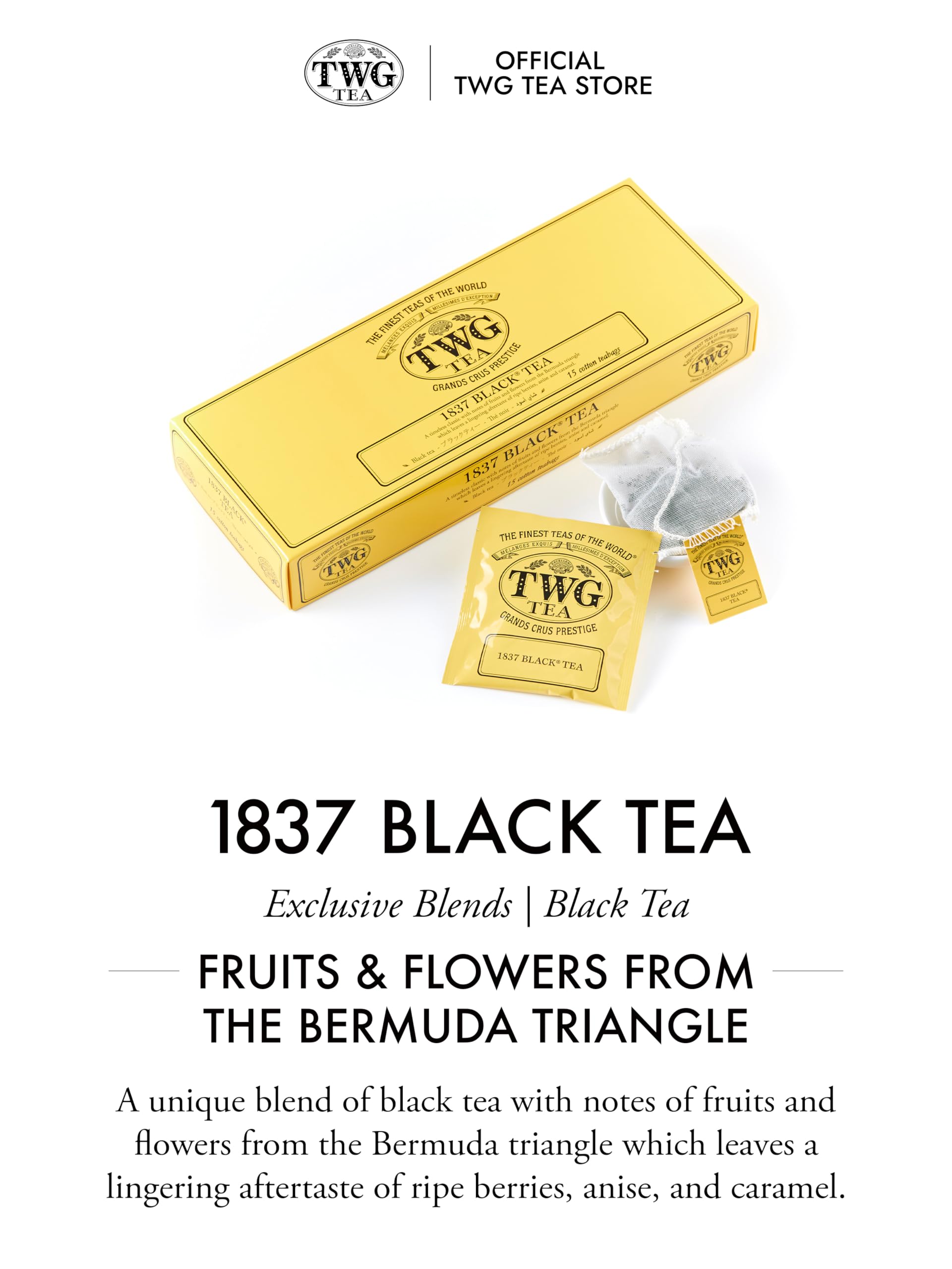 TWG 1837 Black Tea infusion reveals full flavor as it steeps