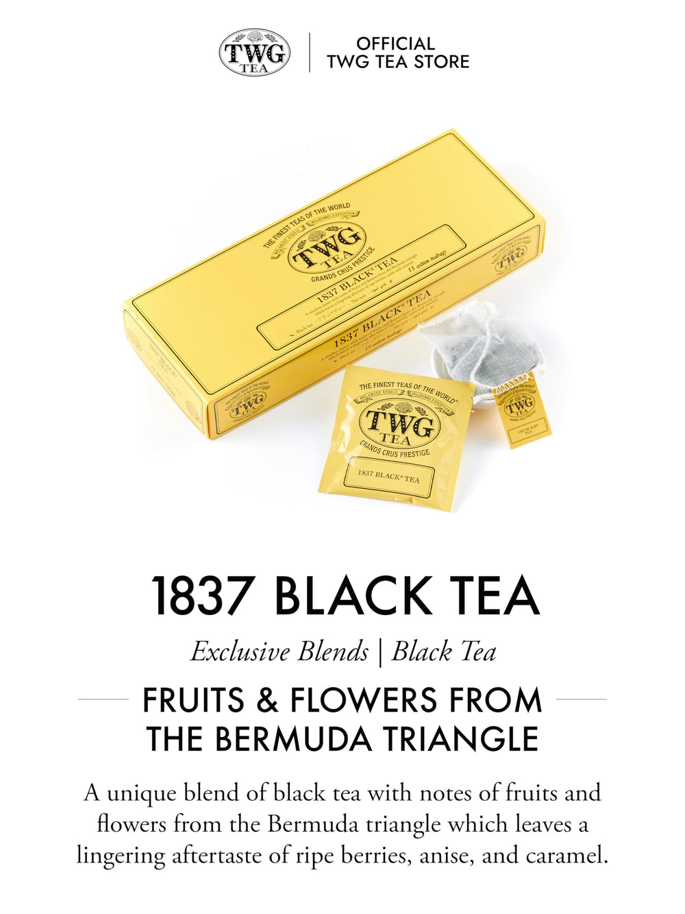 TWG 1837 Black Tea infusion reveals full flavor as it steeps