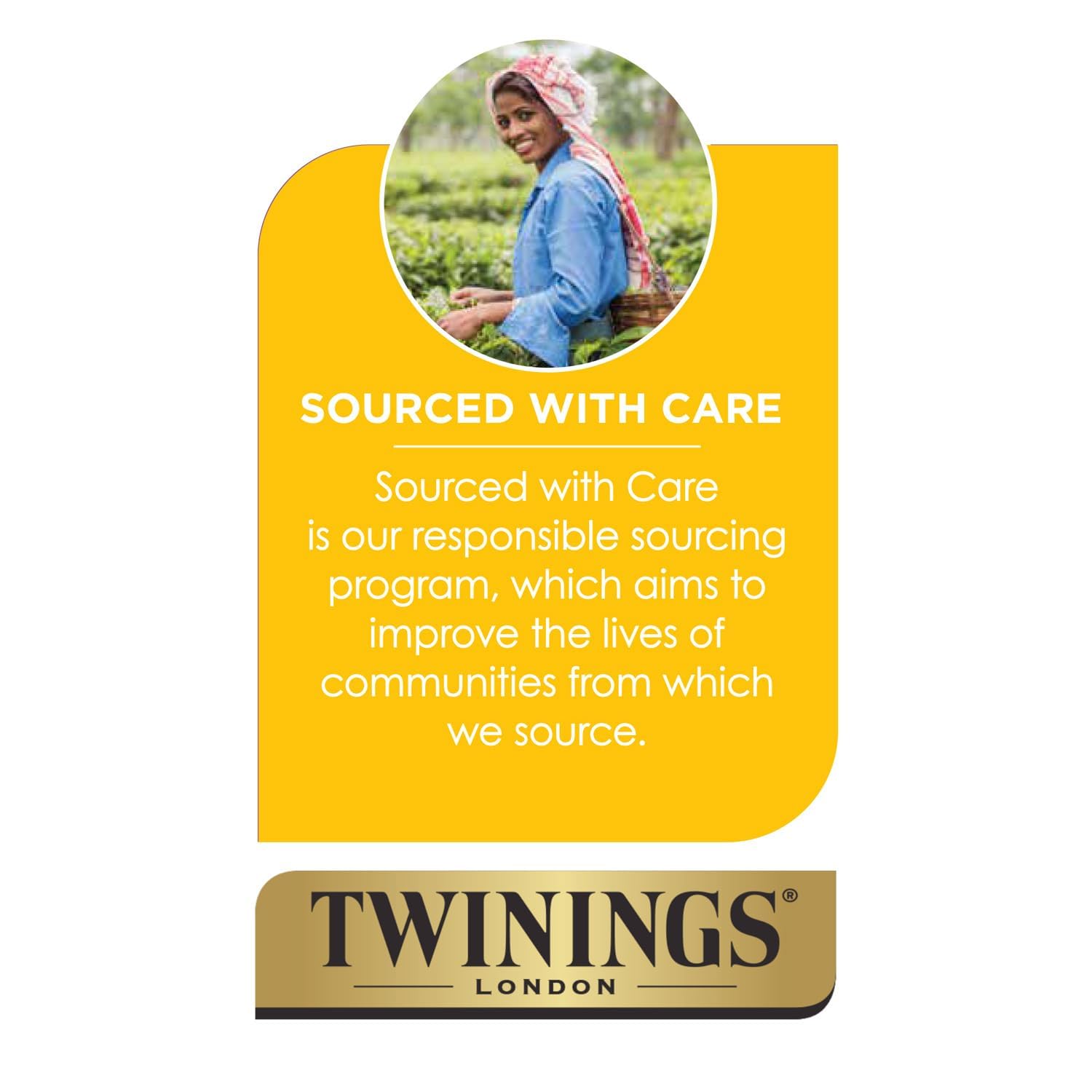 Brewing Twinings Darjeeling for best flavor in 3-5 minutes
