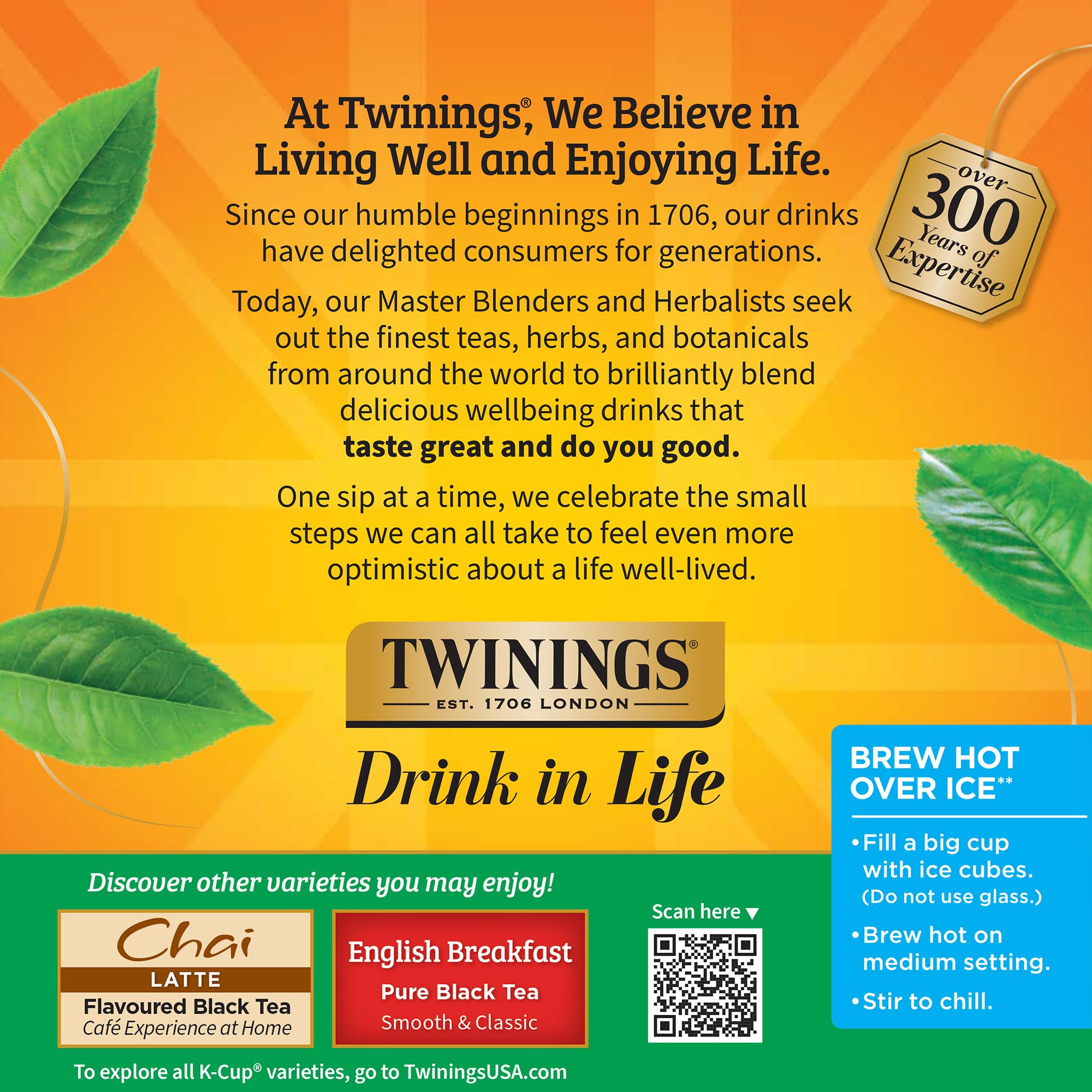 Twinings Irish Breakfast tea pods used to brew over ice