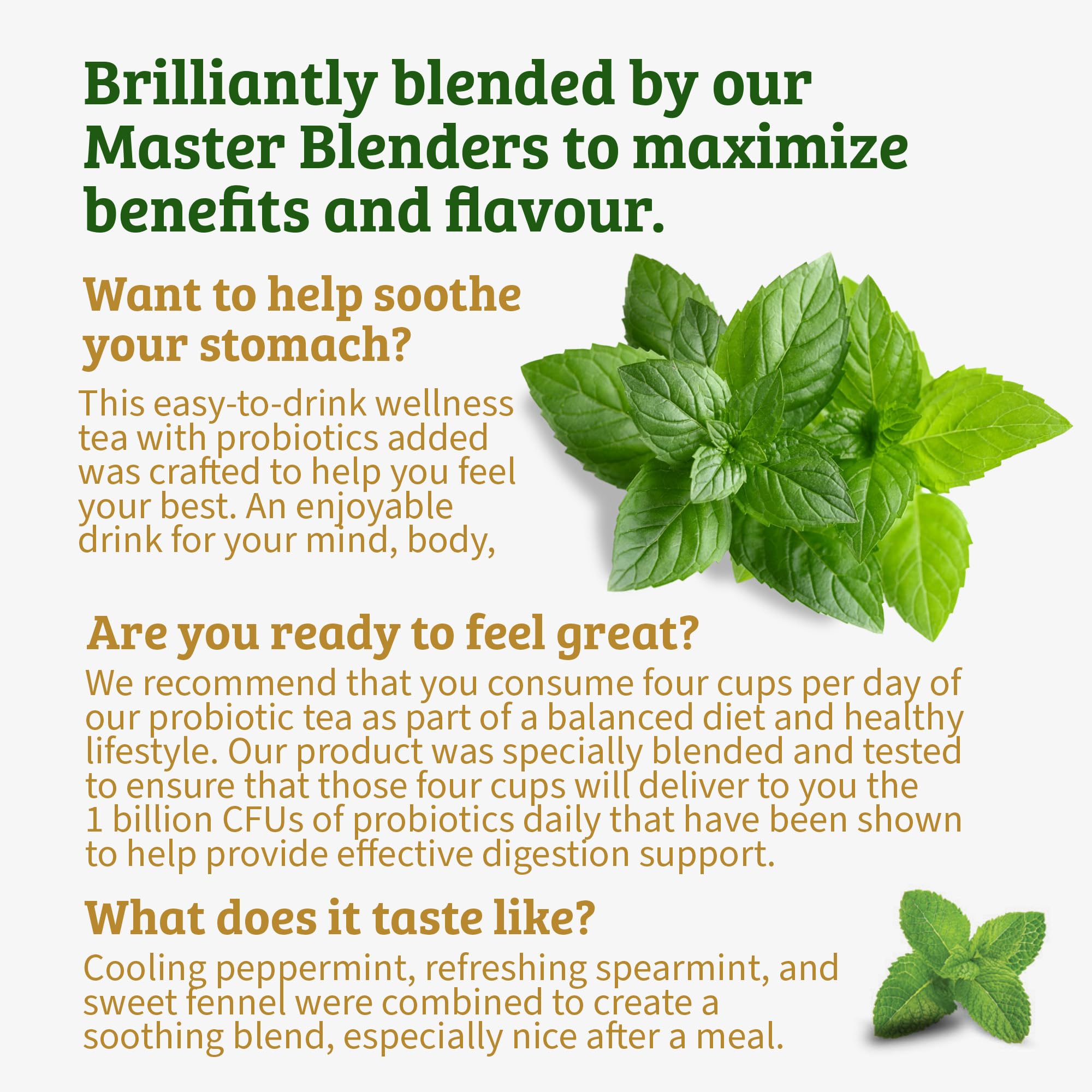 Twinings Peppermint Probiotics features minty fennel notes for a refreshing, soothing herbal cup.