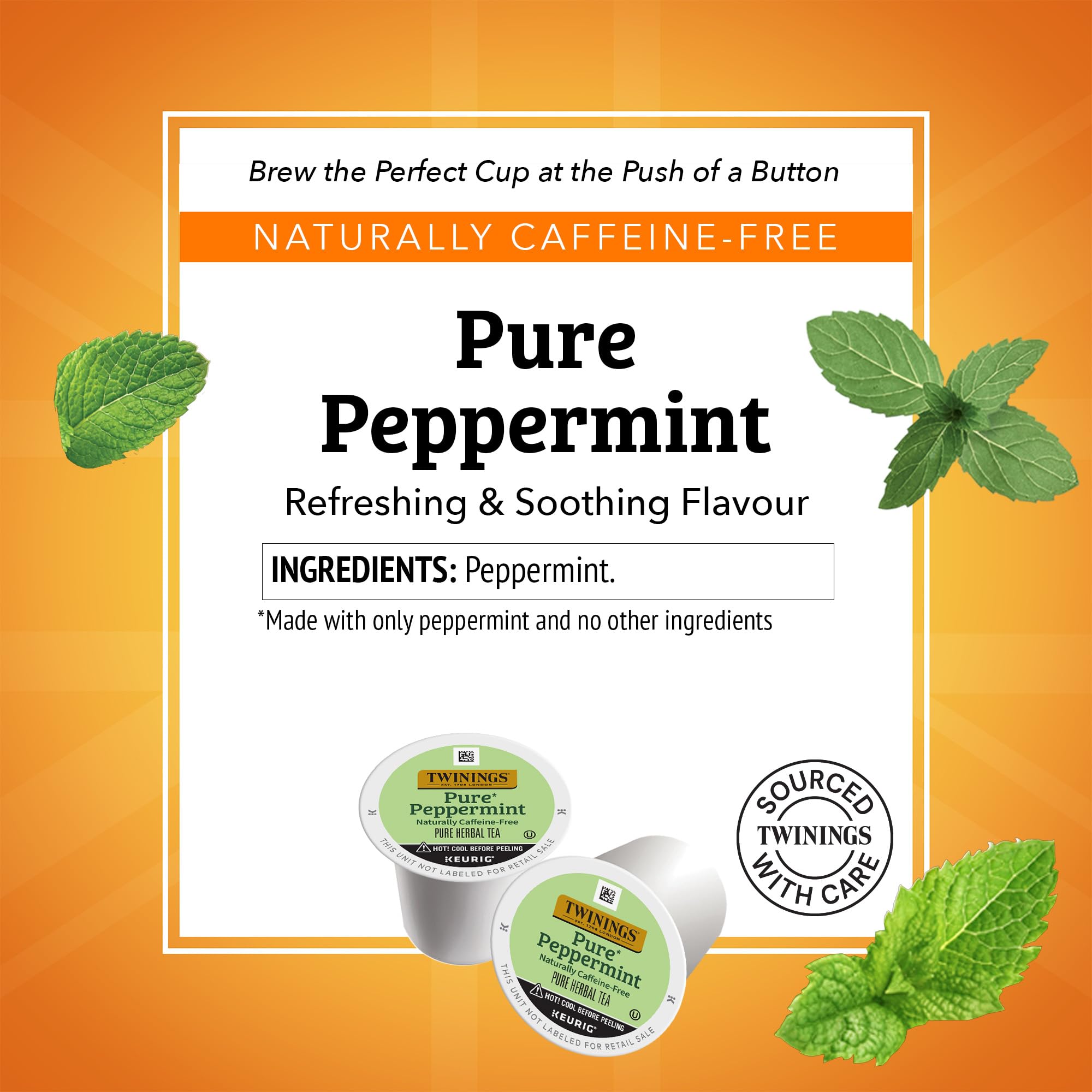 Twinings Pure Peppermint K-Cup close-up highlighting pure peppermint aroma.