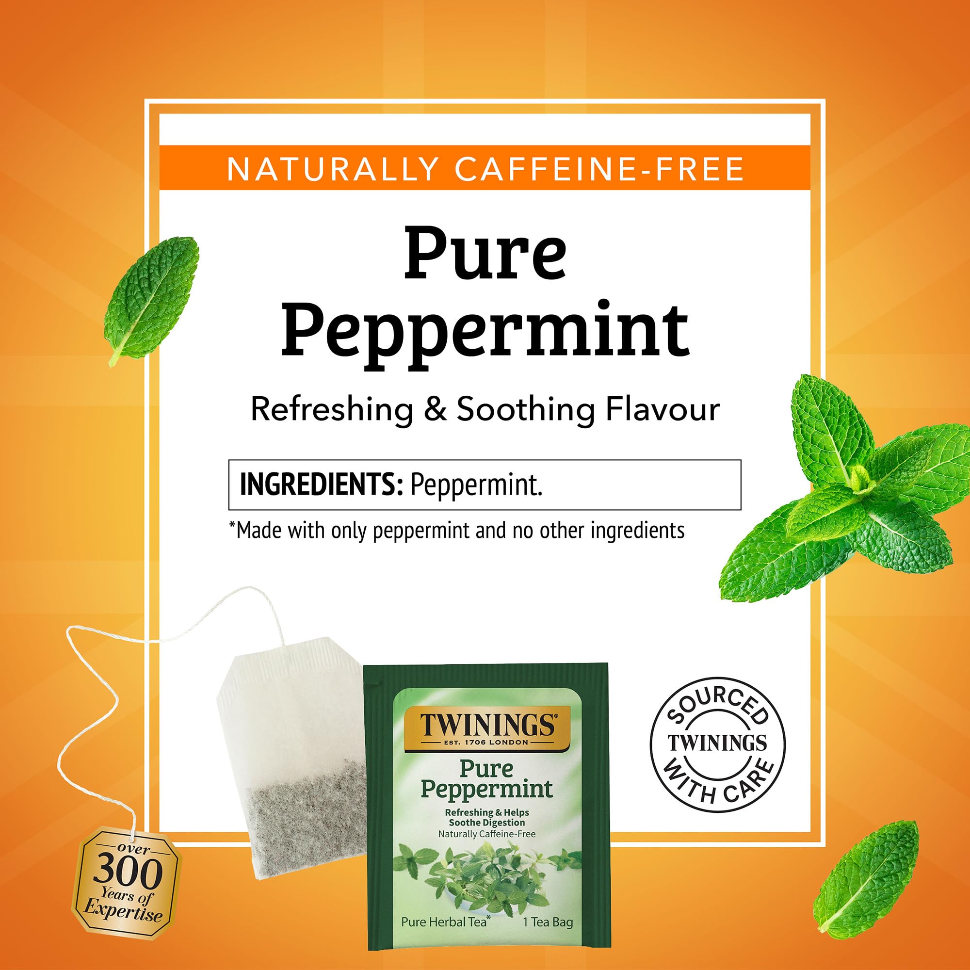 On-the-go Twinings peppermint tea bag in a purse or bag