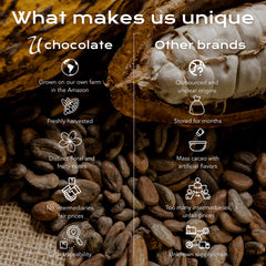 Closeup of roasted cacao nibs from U Chocolate emphasizing rich aroma and chocolate texture.