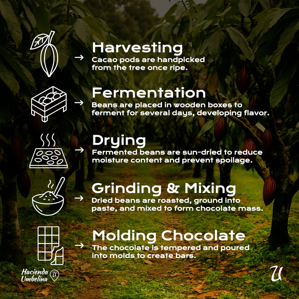 U Organic Dark Chocolate Melting Wafers support Amazonian communities through sustainable micro-batch cacao.