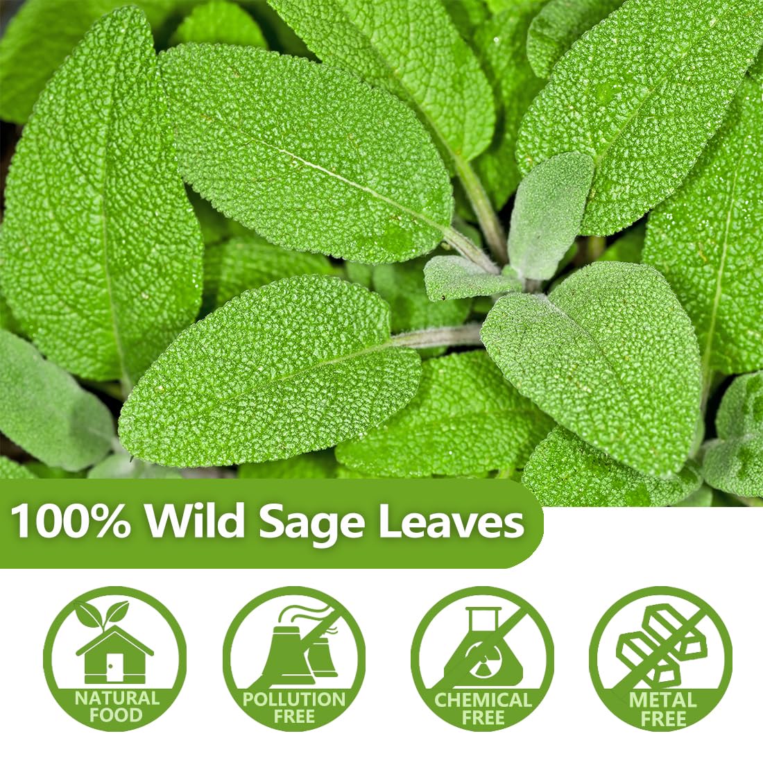 ULTHMOK 100% natural sage leaf tea close-up, no additives for clean taste