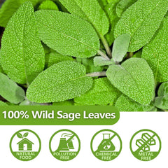 ULTHMOK 100% natural sage leaf tea close-up, no additives for clean taste