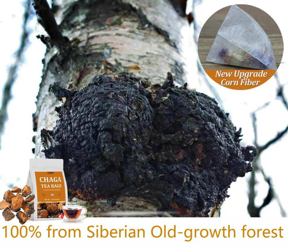 ULTHMOK chaga chunks visible in the tea bag, natural nutrients for a mellow brew.