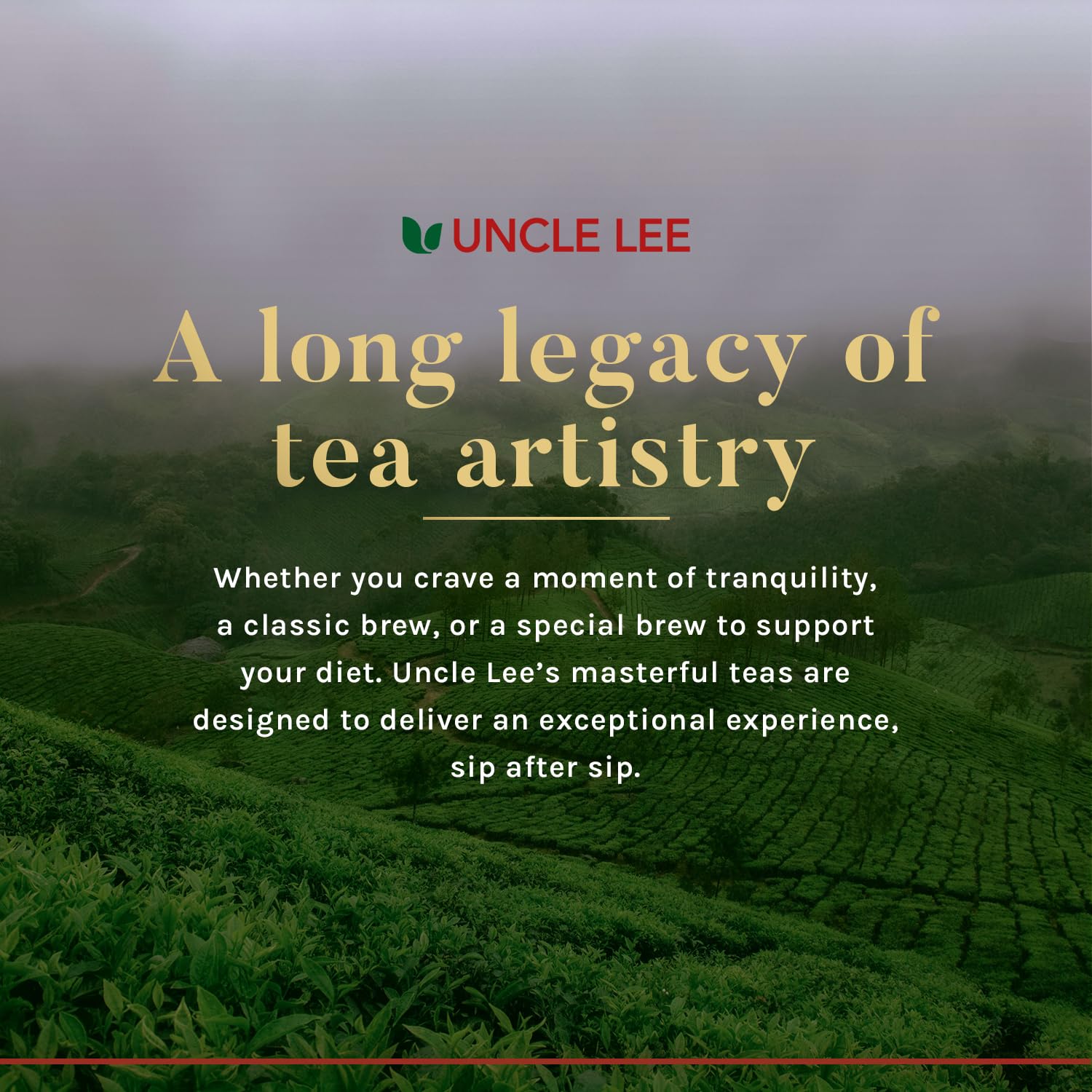 Uncle Lee's Tea Body Slim Tea cup with lemon steam aroma.