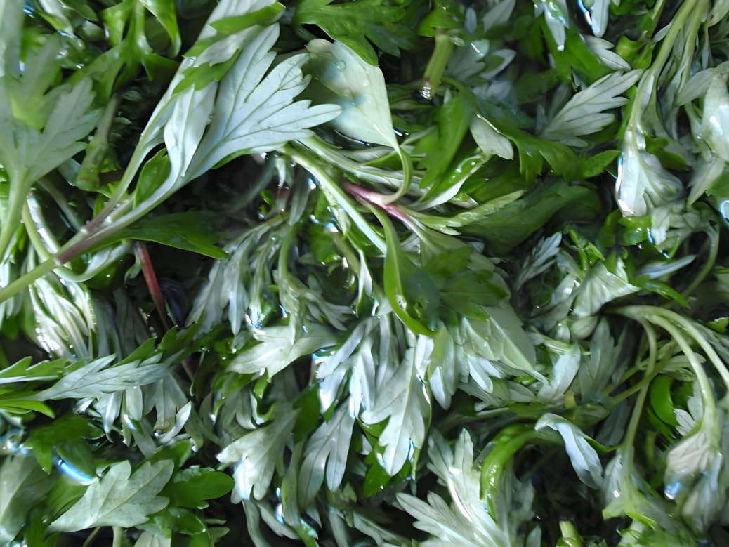 UNIGEMSMYTH Mugwort for ritual use and room fragrance