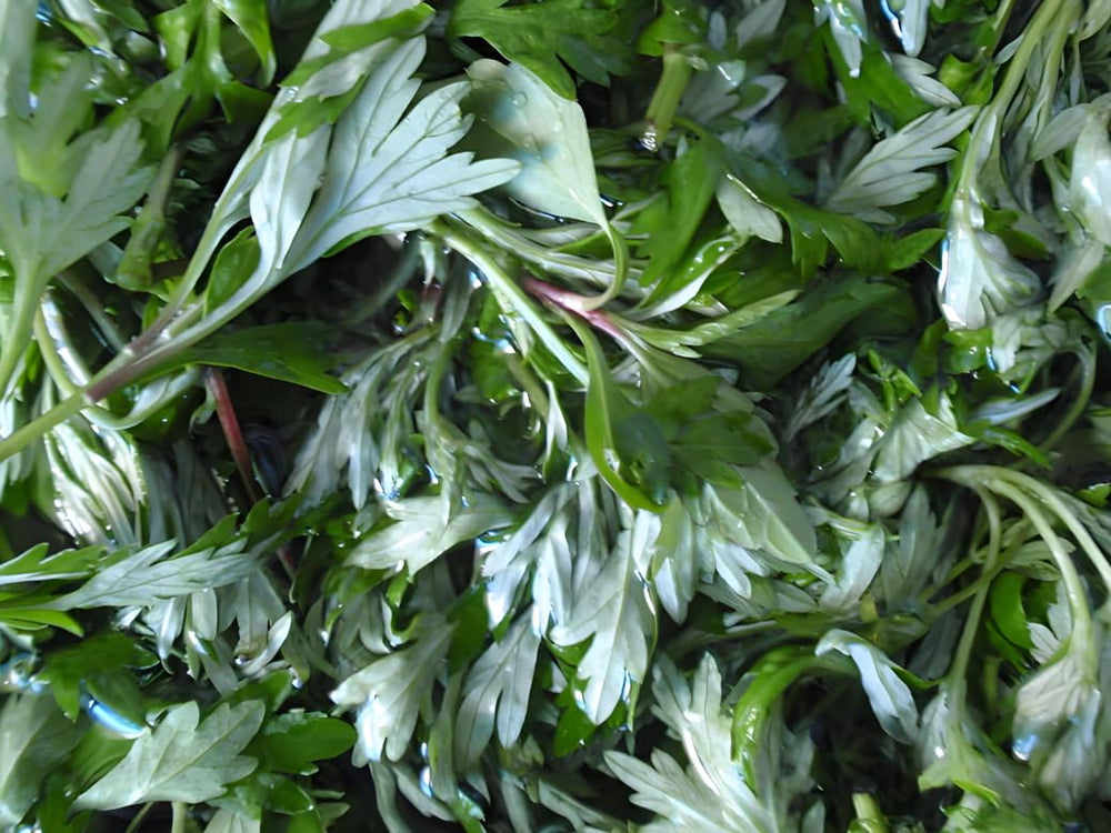 UNIGEMSMYTH Mugwort for ritual use and room fragrance