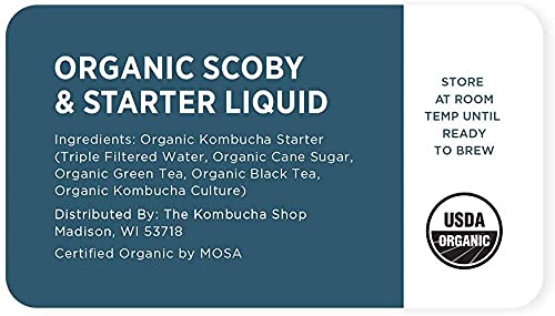 Urban Kitchen live culture with SCOBY for a successful first batch brew