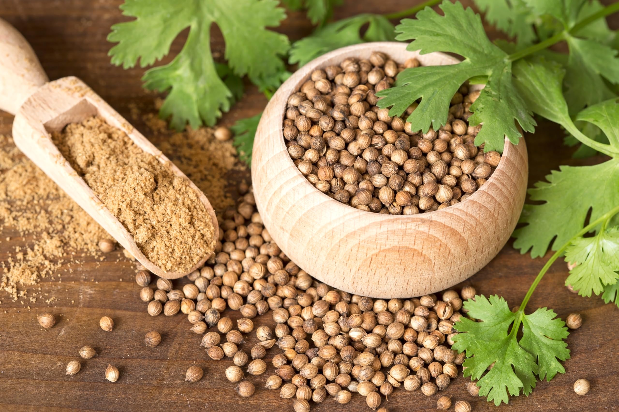 US Wellness Naturals USDA organic coriander seeds for everyday cooking