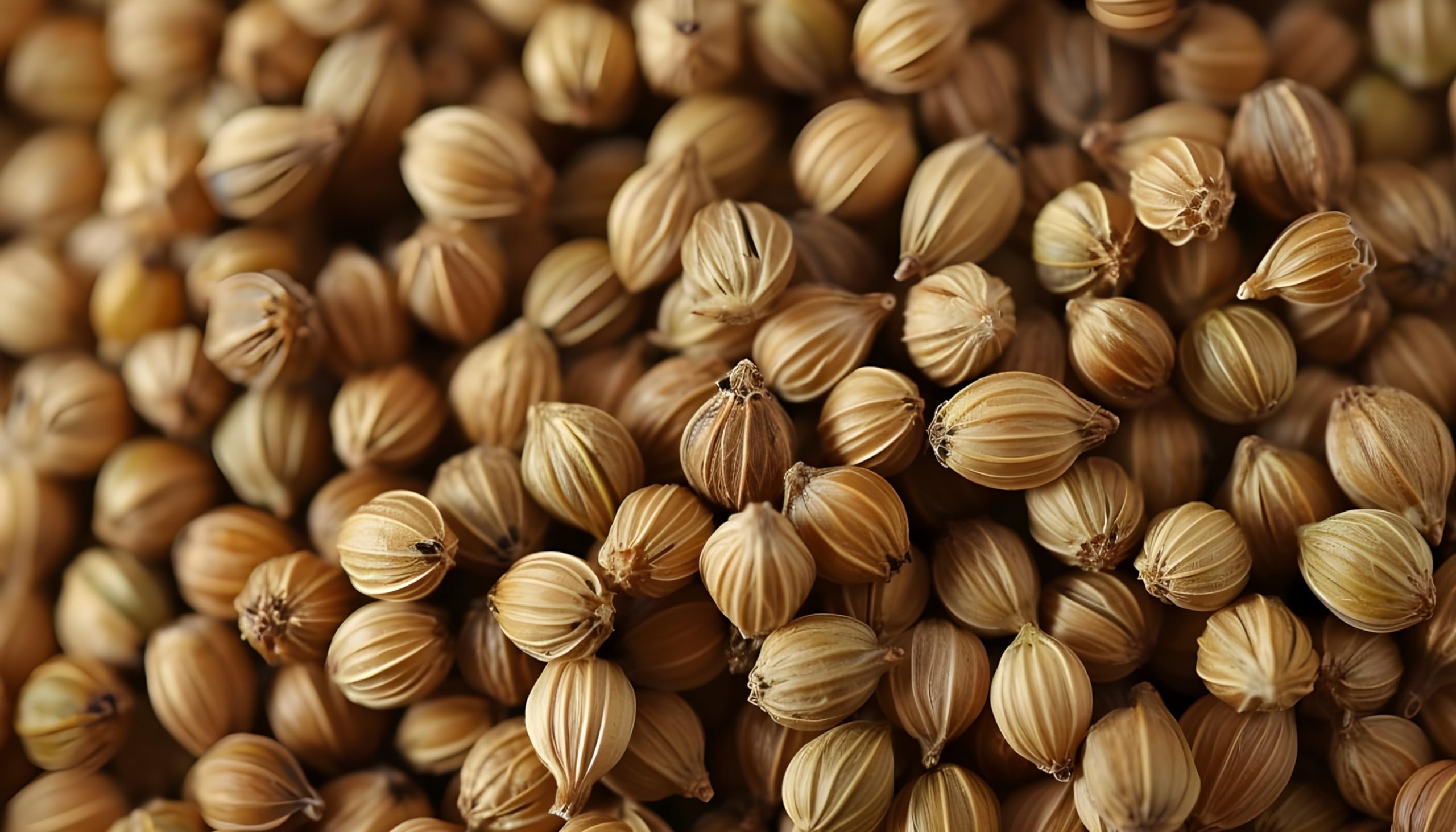US Wellness Naturals ground coriander for chutneys, salsas, and marinades