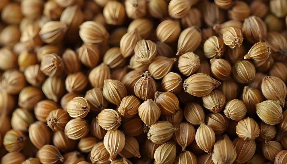 US Wellness Naturals ground coriander for chutneys, salsas, and marinades
