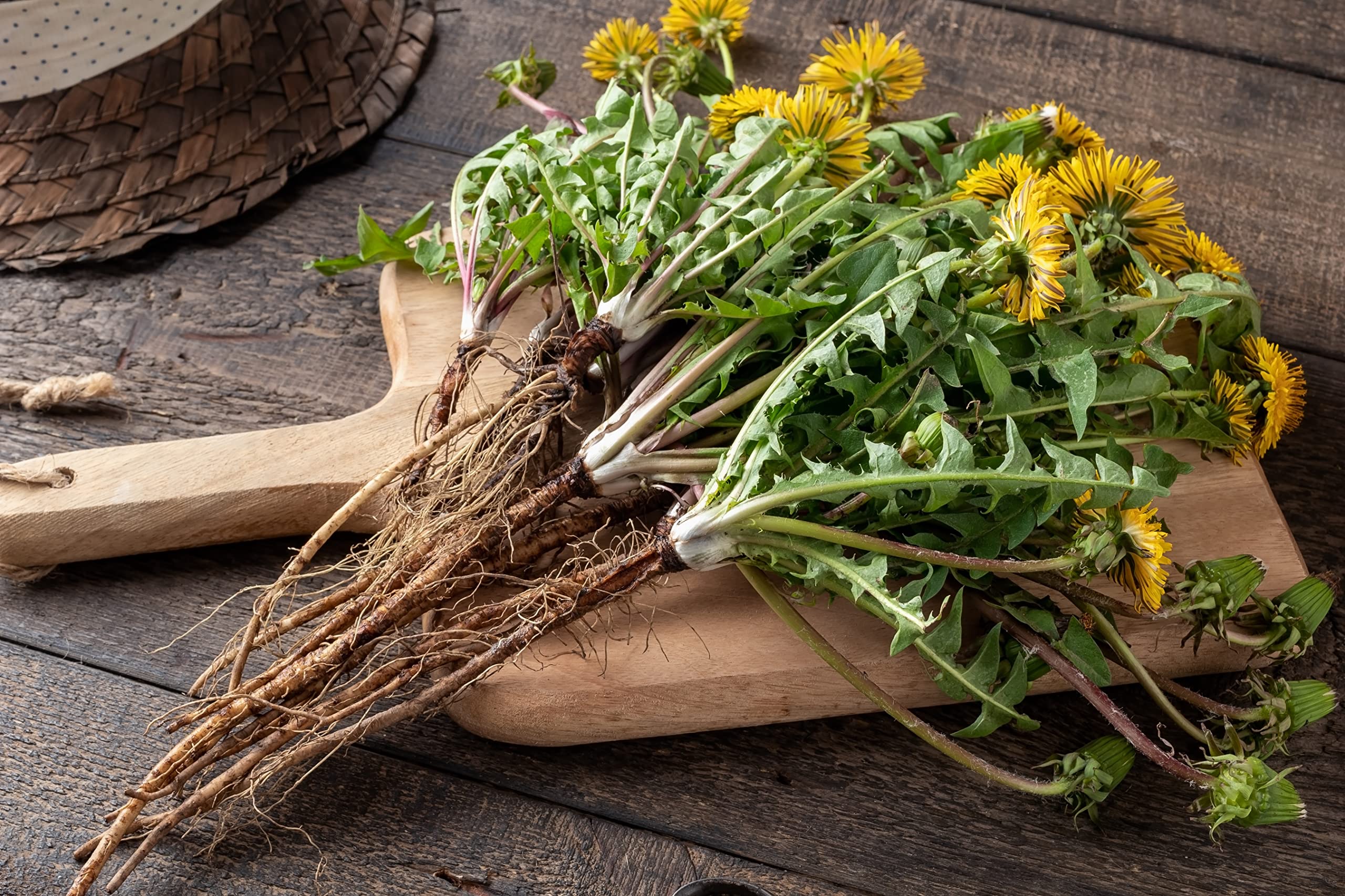 Us Wellness Naturals Albanian harvest field inspires trust in organic roots