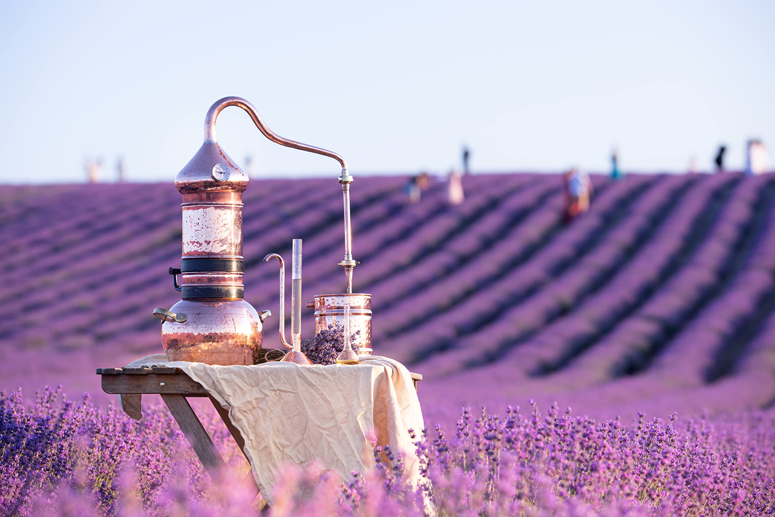 US Wellness Naturals Lavender lemonade infusion for a floral twist.